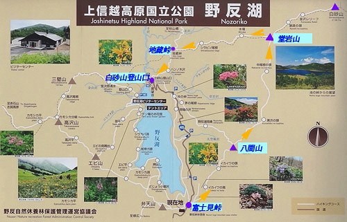 12野反湖map2.jpg