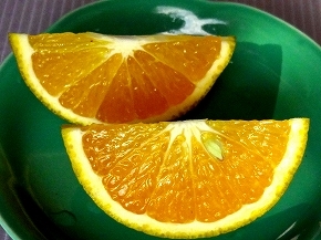 34柑橘13.jpg