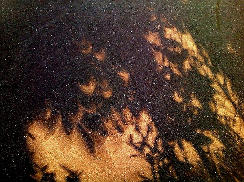 日食-11.jpg